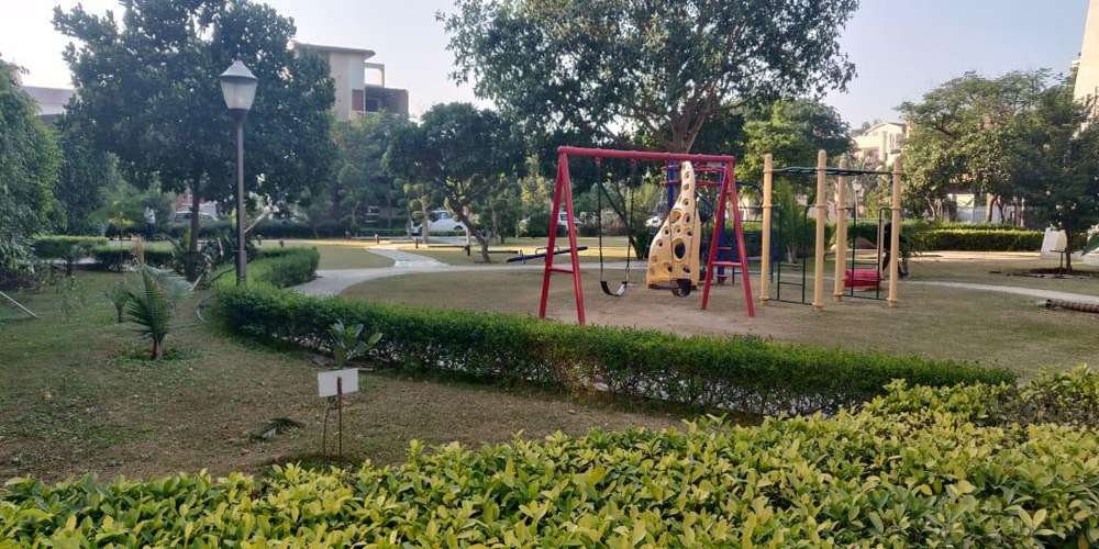 Celestia Royal Premier