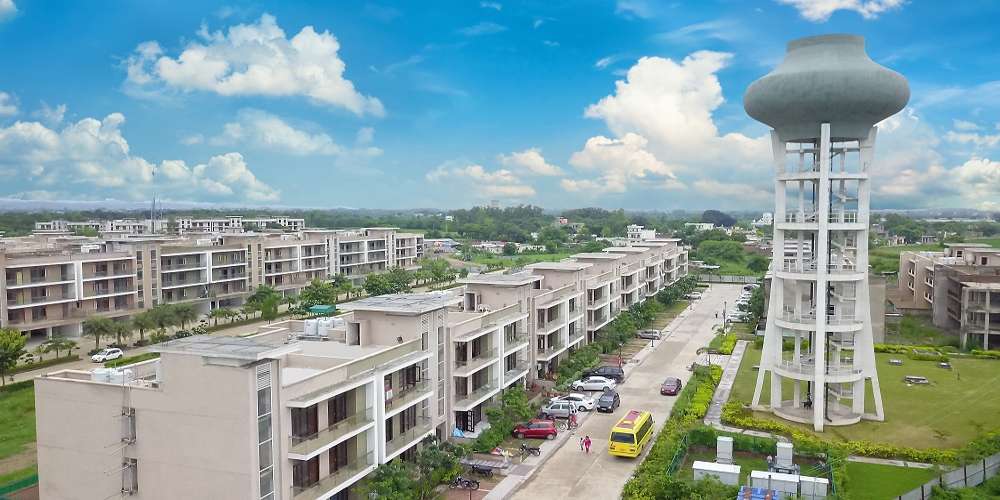 Celestia Royal Premier