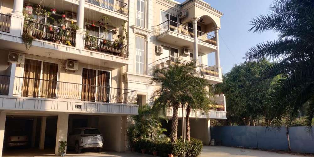 Celestia Royal Premier