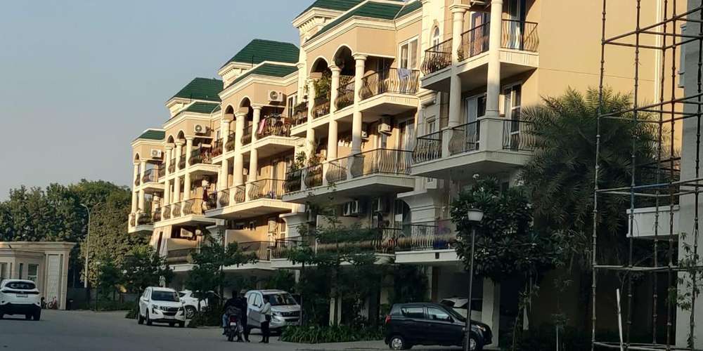 Celestia Royal Premier