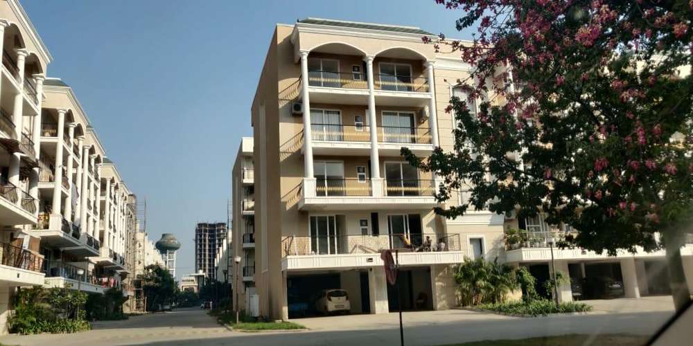 Celestia Royal Premier