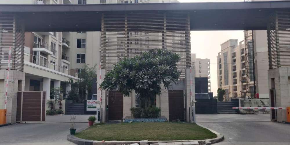 Acme Eden & Emerald Court