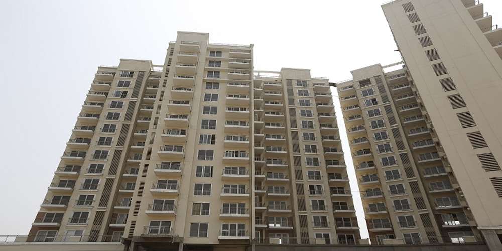 Acme Eden & Emerald Court