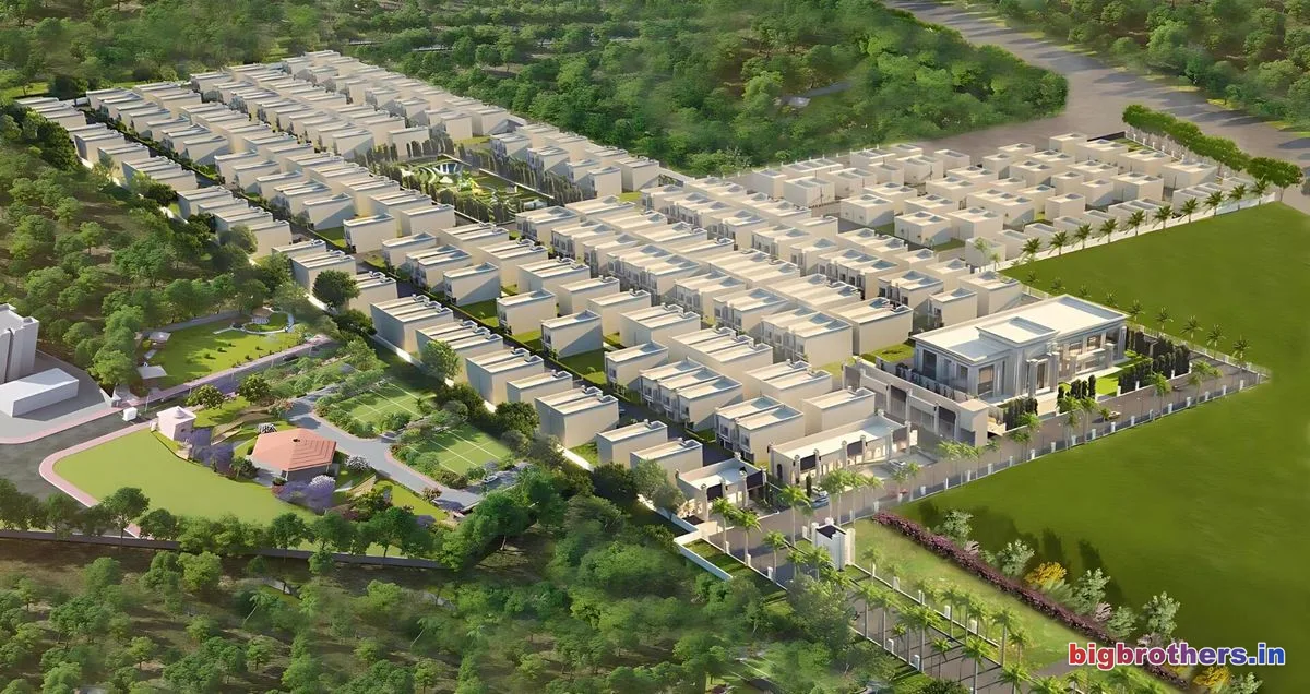 Amayra Vista